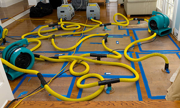Professional Emergency Water Removal technician working in Rossville, GA